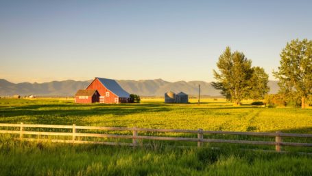 barn in field